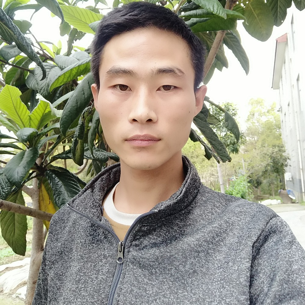 玩命有鸡翅的照片