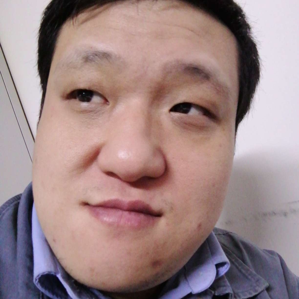 挪威的林的照片
