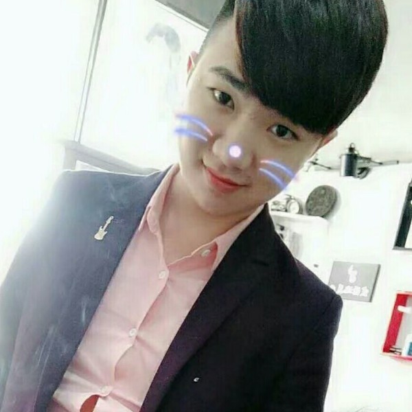 想出国的蚂蚁的照片