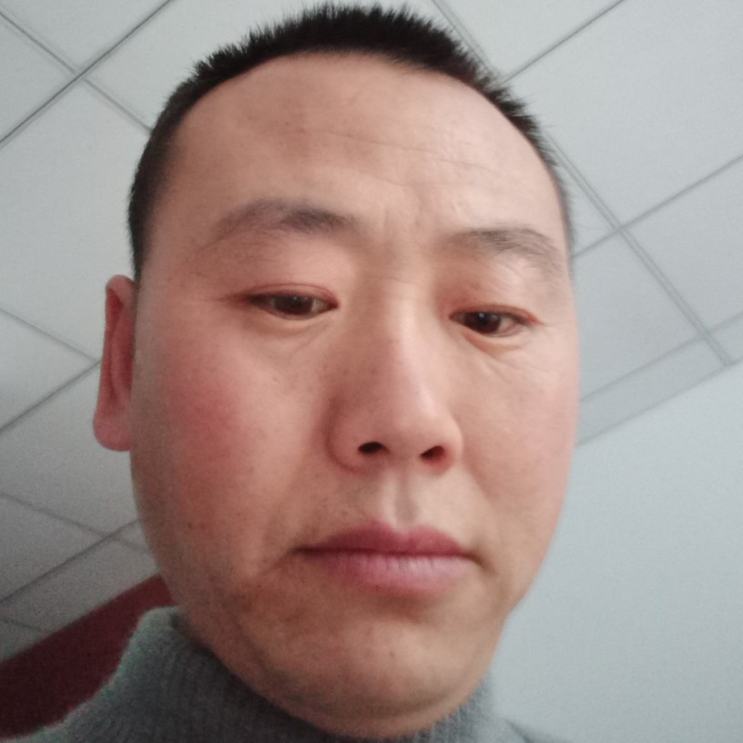 烂漫冬雪的照片