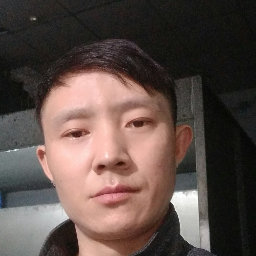 迷人与飞鸟的照片