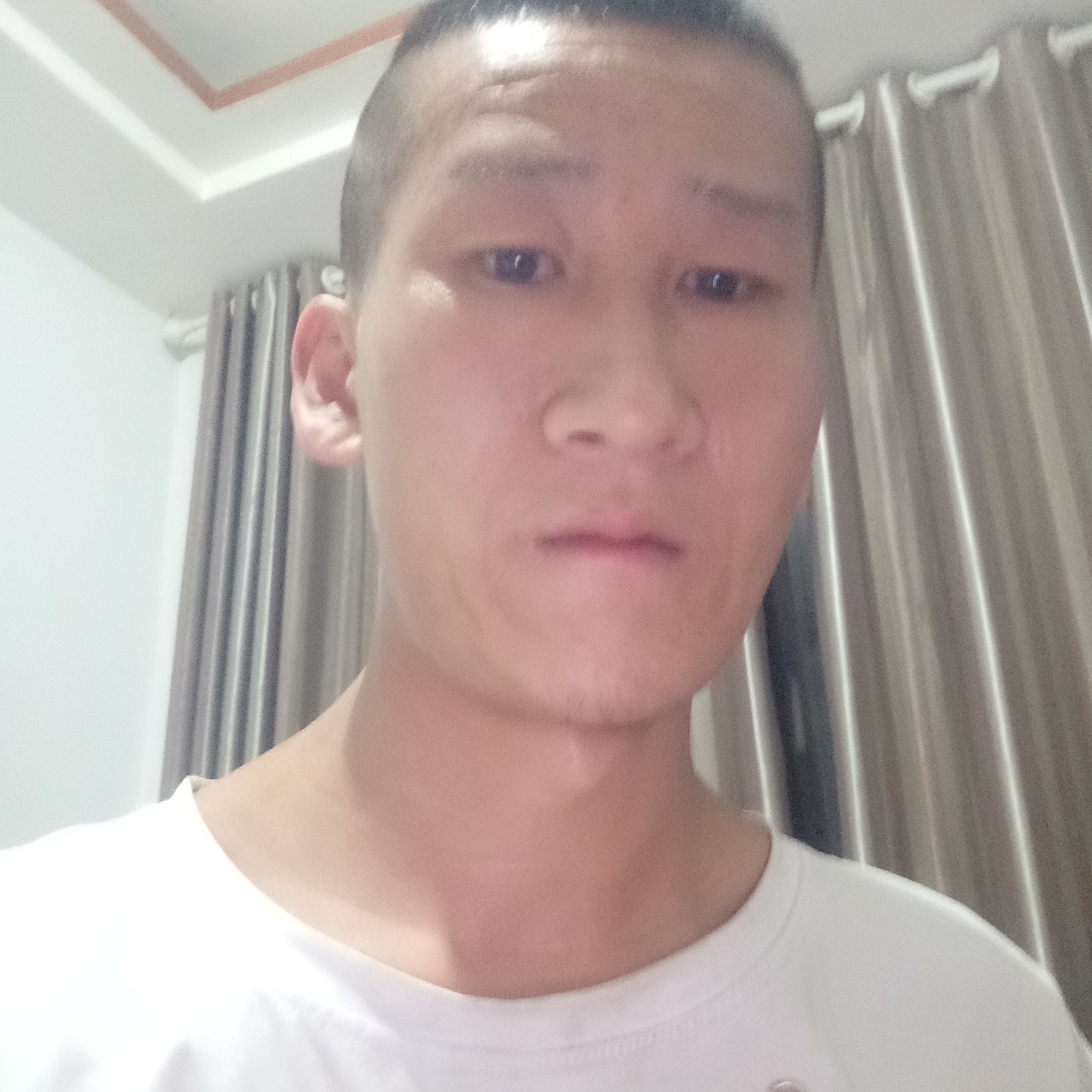 鳗鱼闻微凉的照片