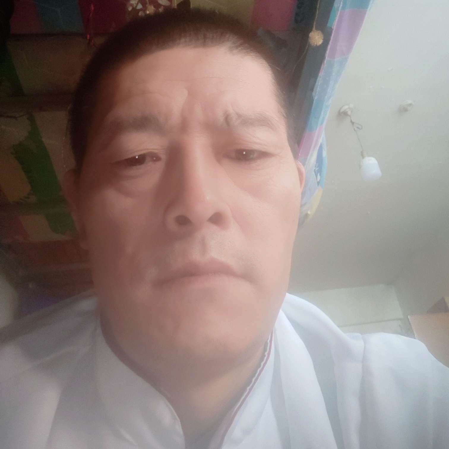 绿草向帅气的照片