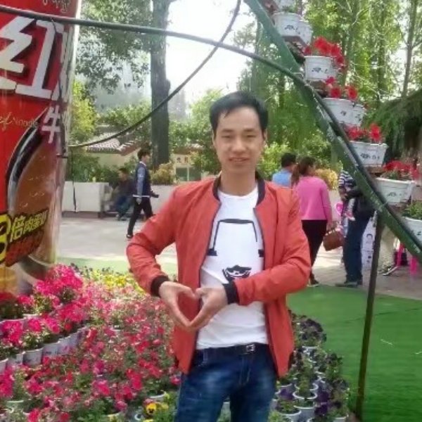 路灯蹁跹彩色的照片