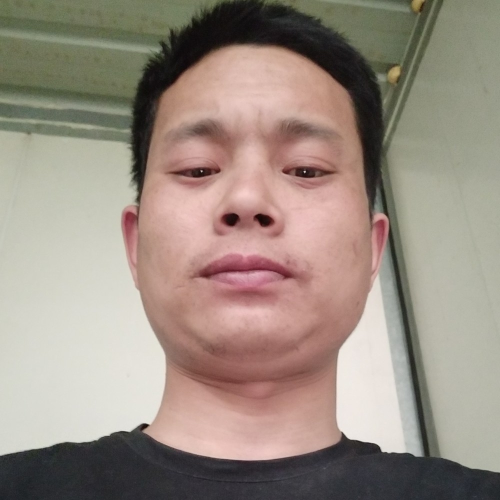 寻找另一半儿的照片