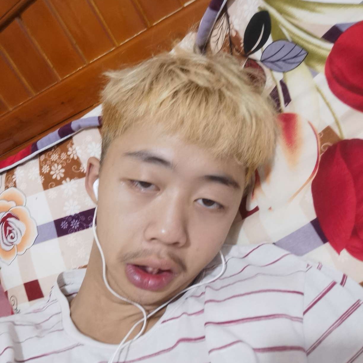 动人漫步大树的照片