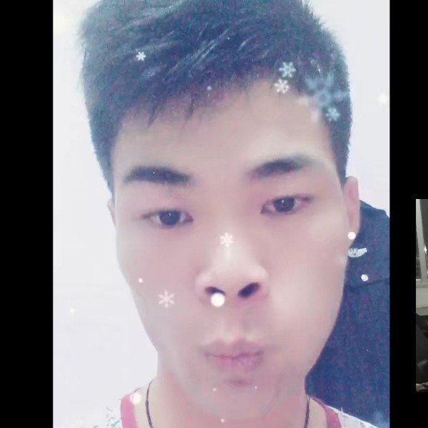飞翔鸡棒的照片