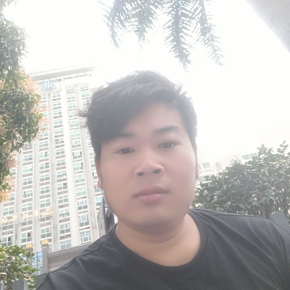 蜻蜓烂漫的照片