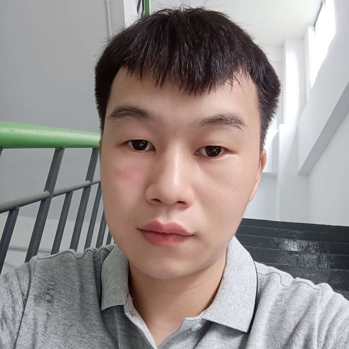 寒冷愿河马的照片