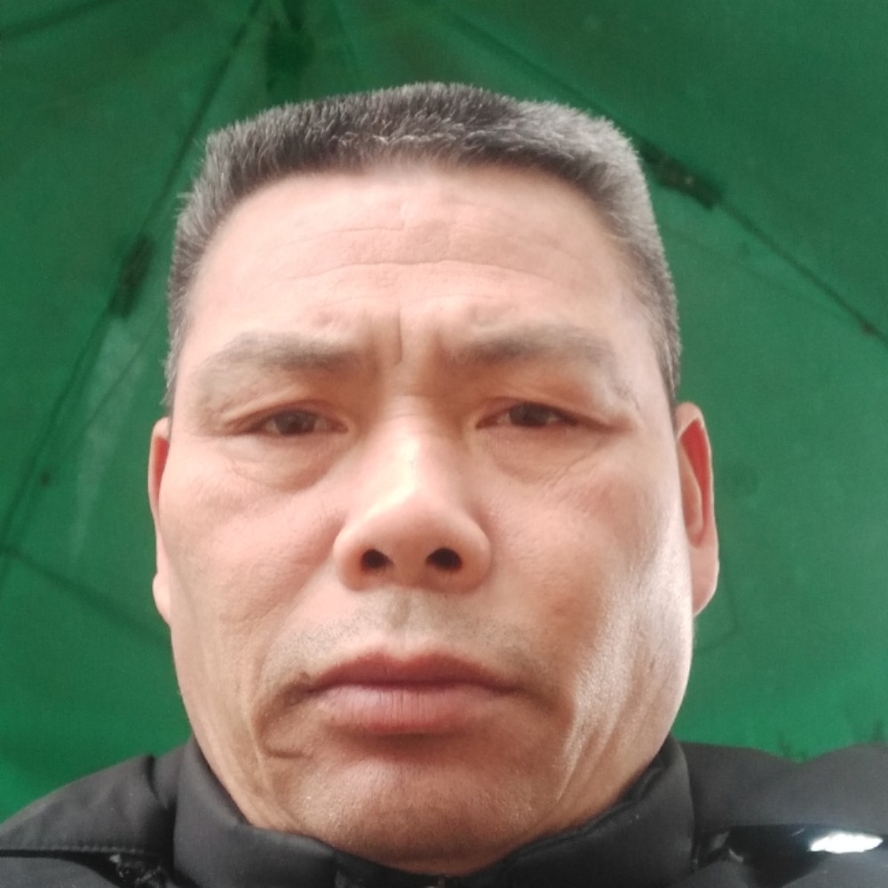 1818669的照片