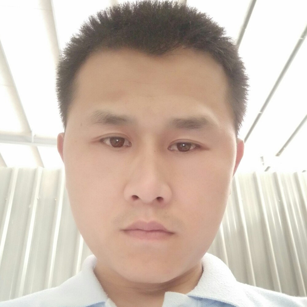 一丝丝情的照片