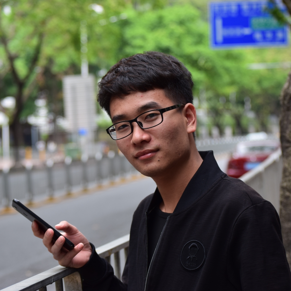和谐浅吻玫瑰的照片