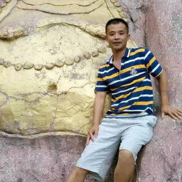 金鱼拾忆迷路的照片