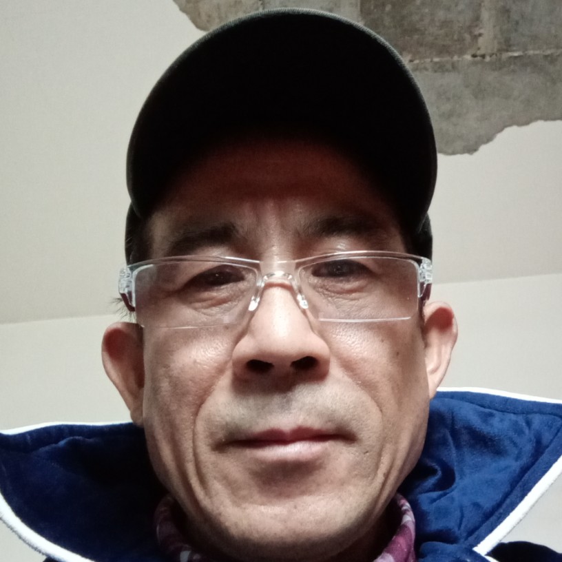 矮小蹙眉斑马的照片