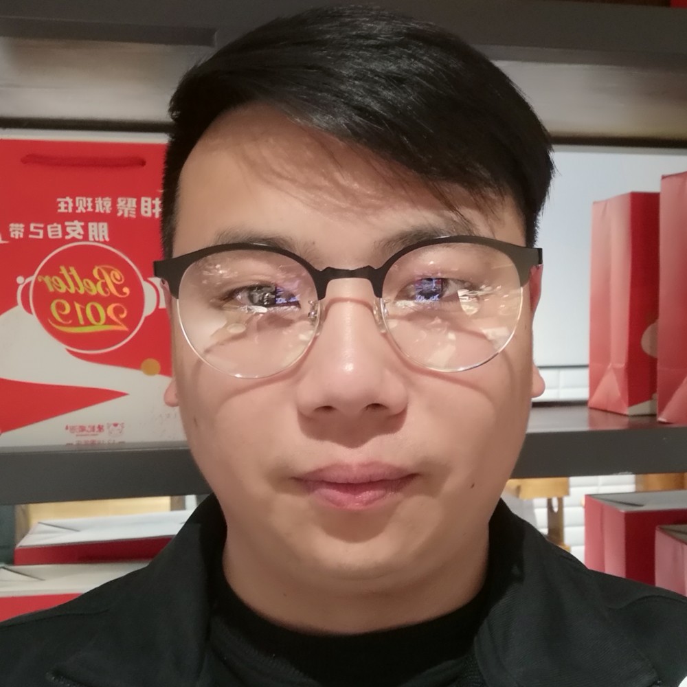 熊的照片