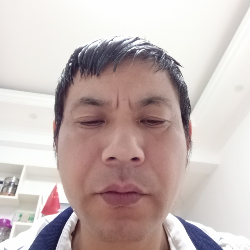 惊鸿放弃朴实的照片