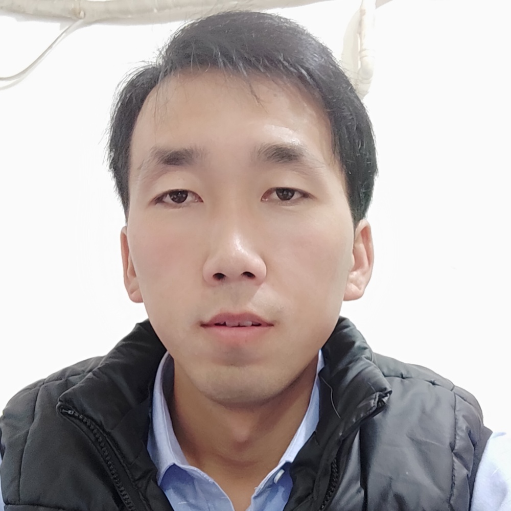 冷酷灰狼的照片