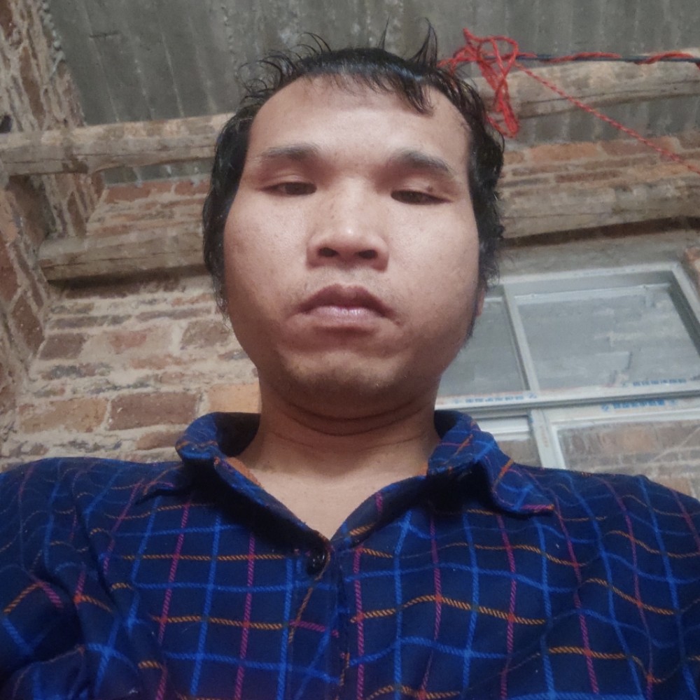 淘气小蜜蜂的照片