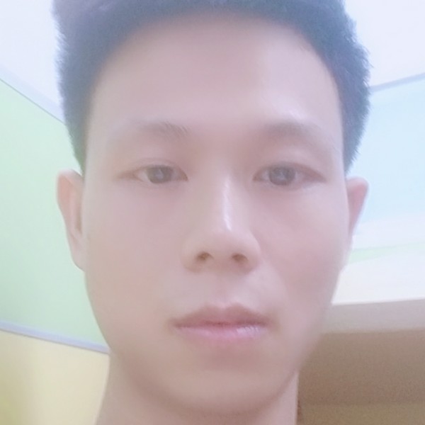 夜幕的康乃馨的照片