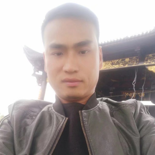 忧郁的落叶的照片