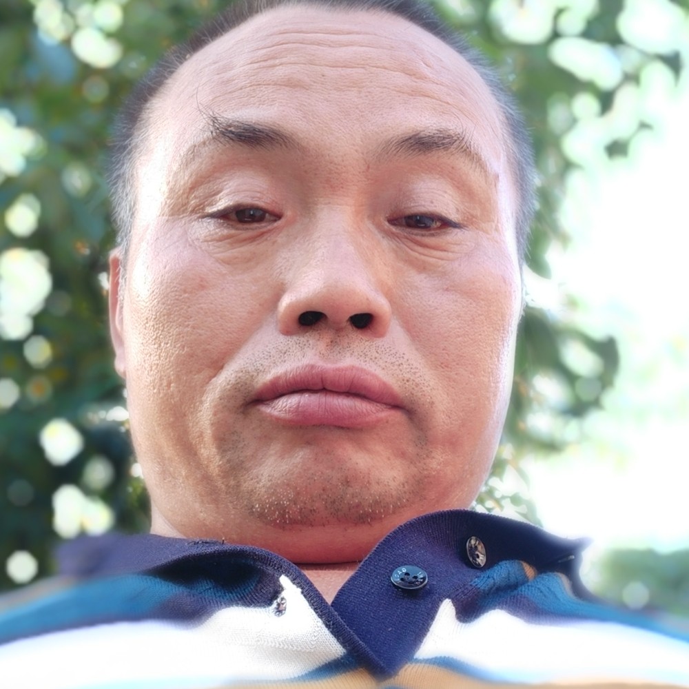 风中小兔子的照片