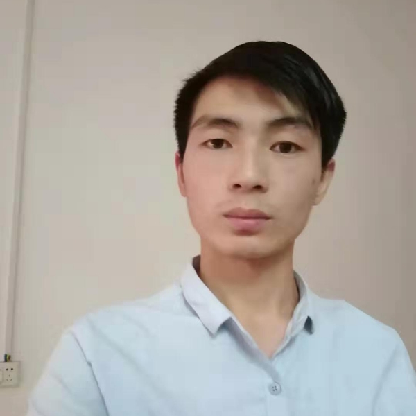 向日葵回首美好的照片