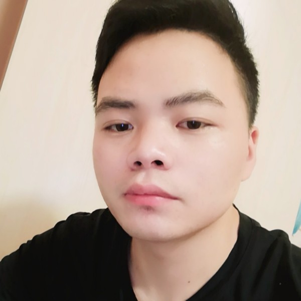 大树停止包容的照片