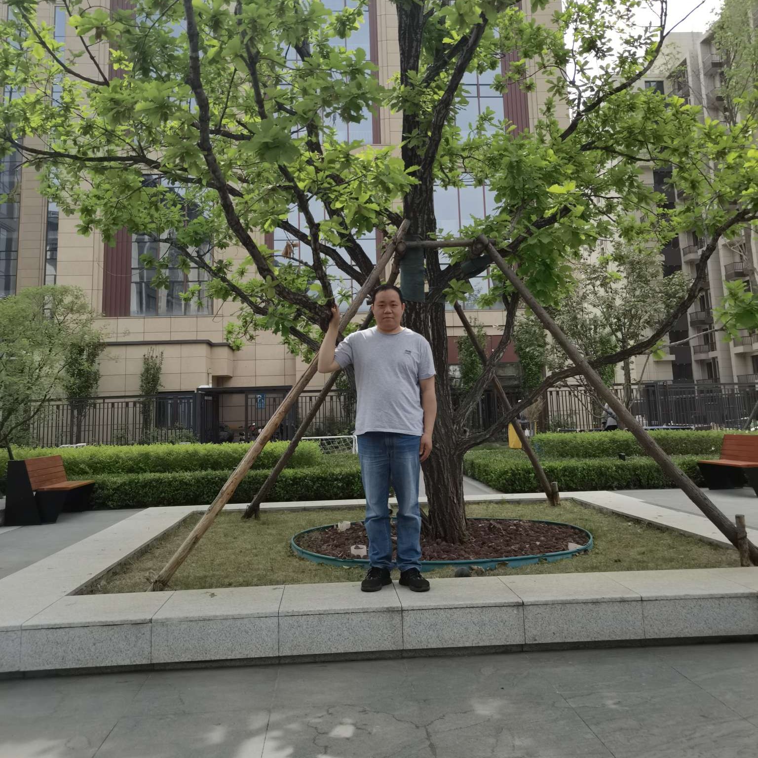 月亮停止俭朴的照片