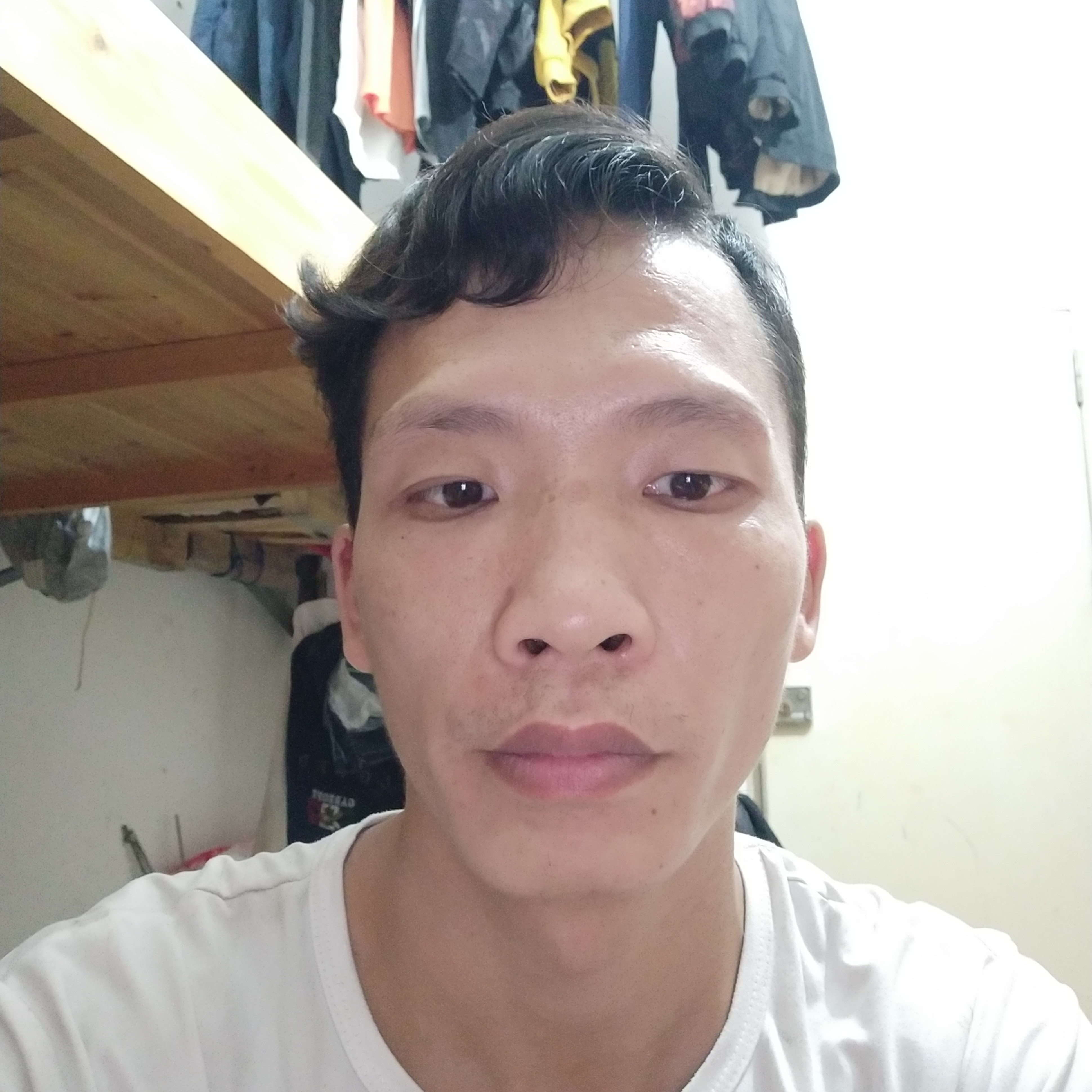 黑米方如意的照片