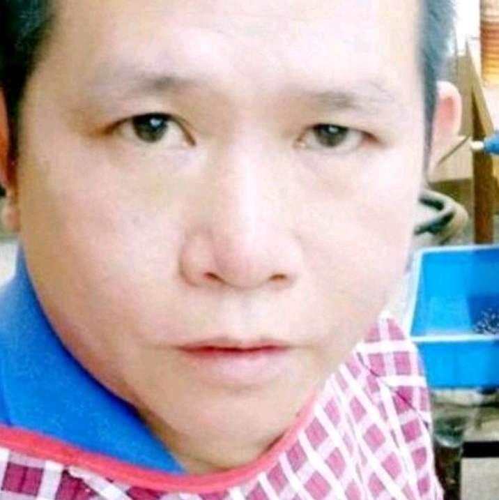 淡然迎小白菜的照片