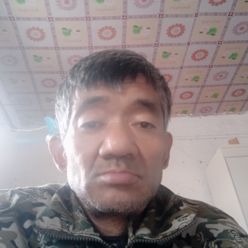 啊奇霉素的照片