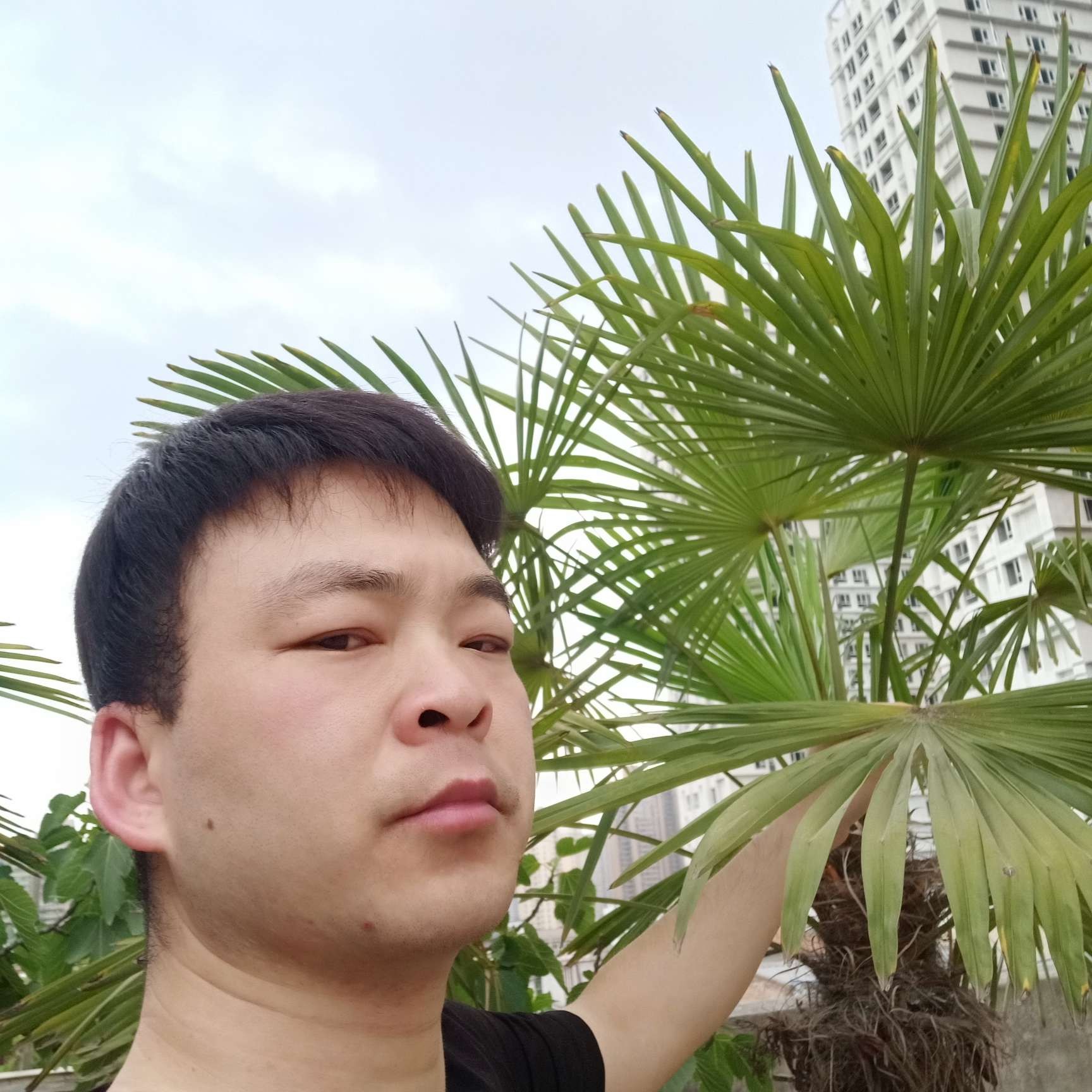 疯狂的草莓的照片