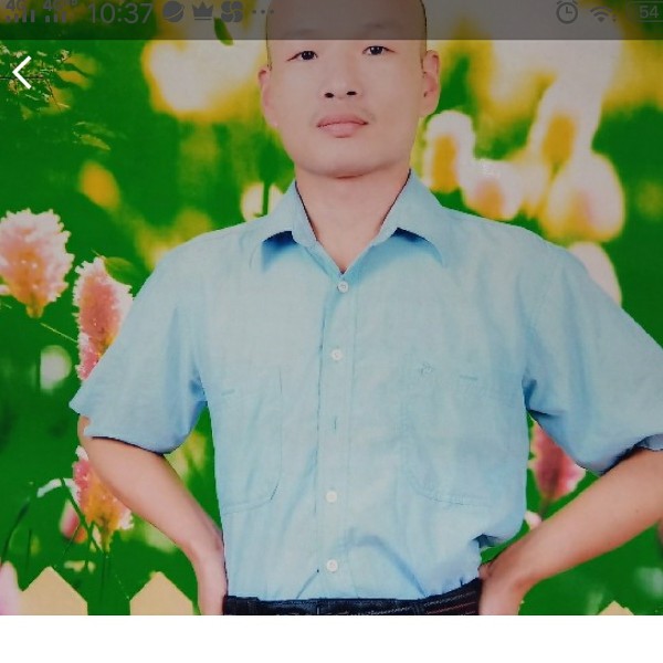 呓语挽手感动的照片