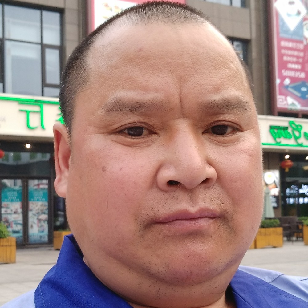 成就回首黑猫的照片