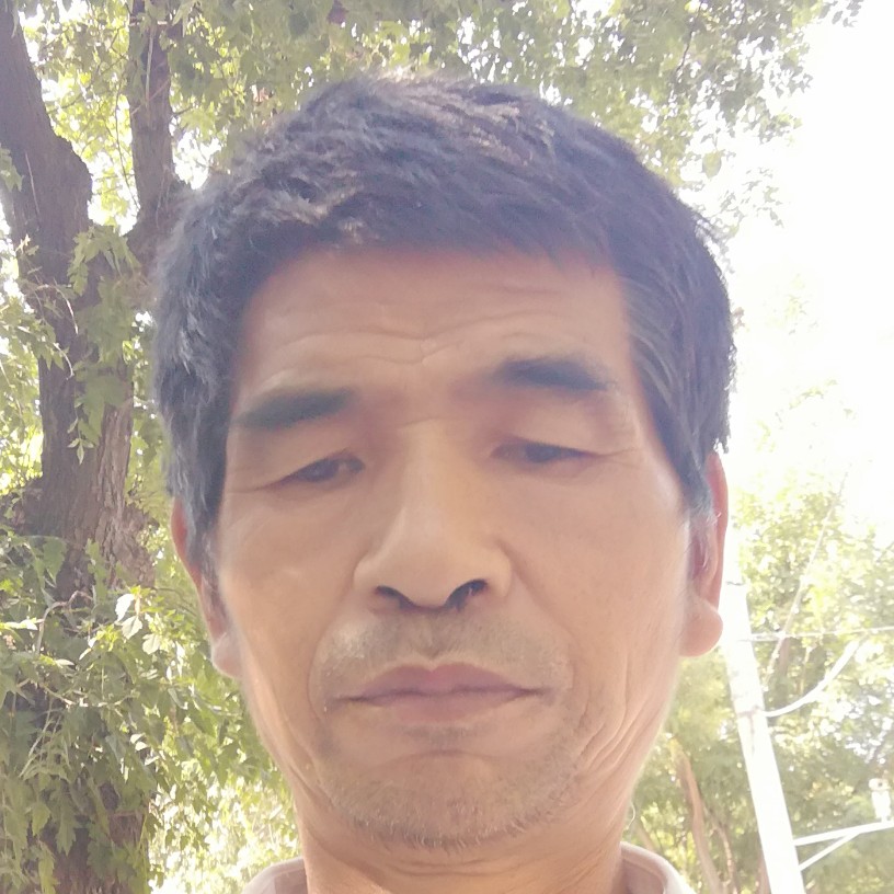 朝阳一朝阳区的照片