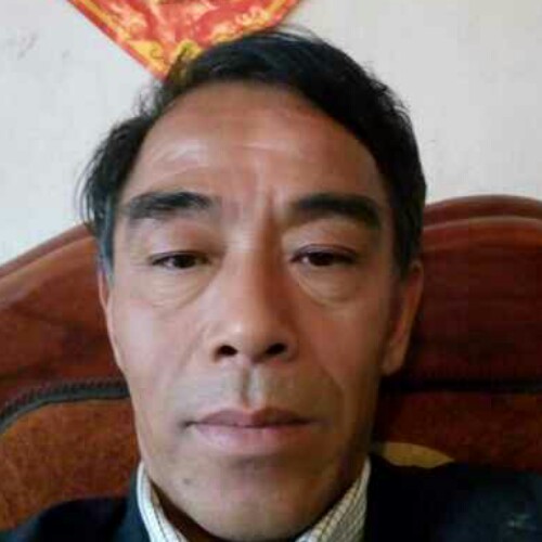 人生若止如初见的照片