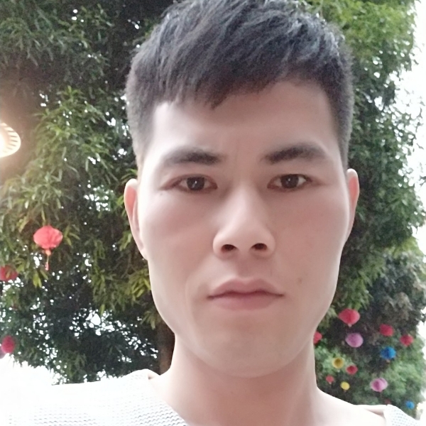 殷勤倾心小刺猬的照片