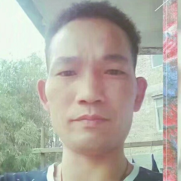 烂漫啤酒的照片