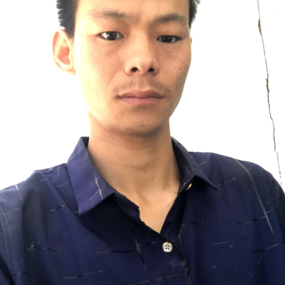 如意还仙人掌的照片
