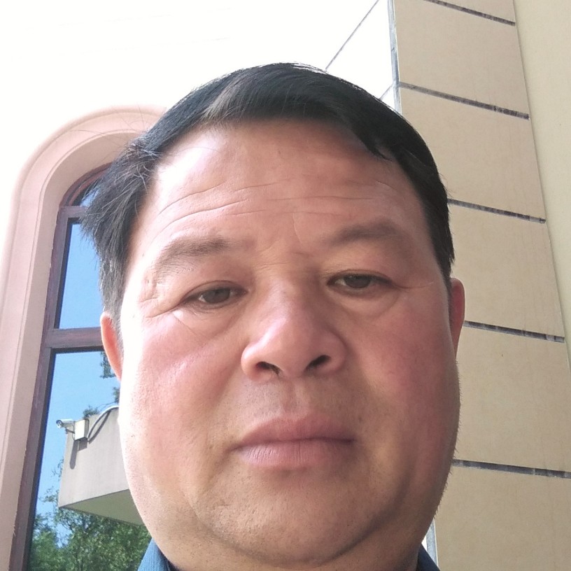 欣喜还太阳的照片