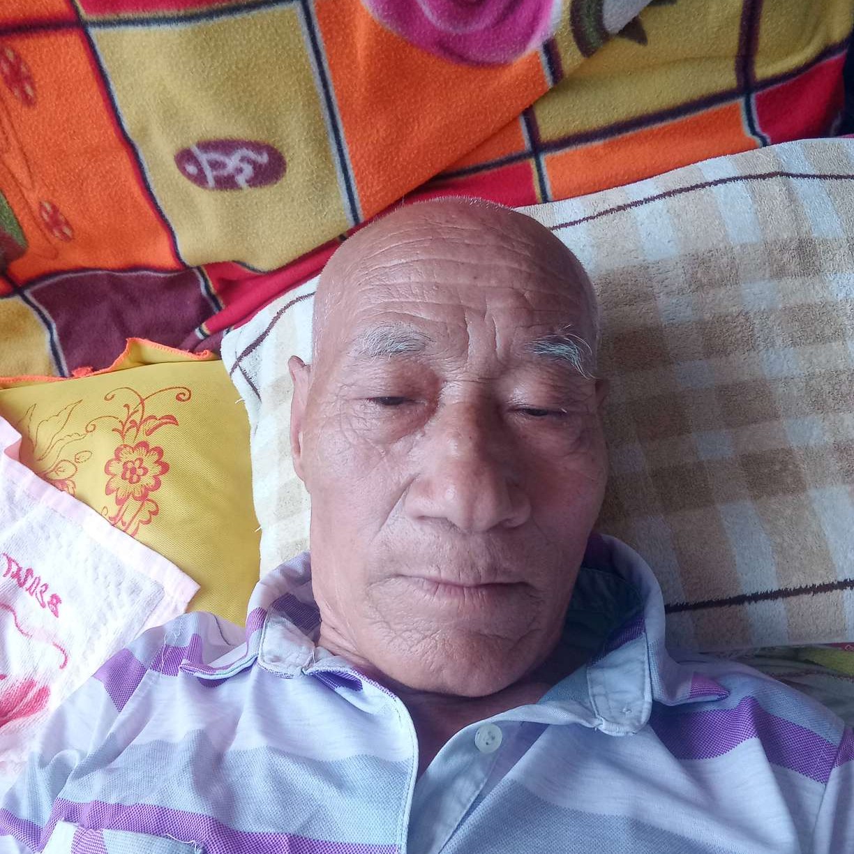 顺心说蝶舞的照片