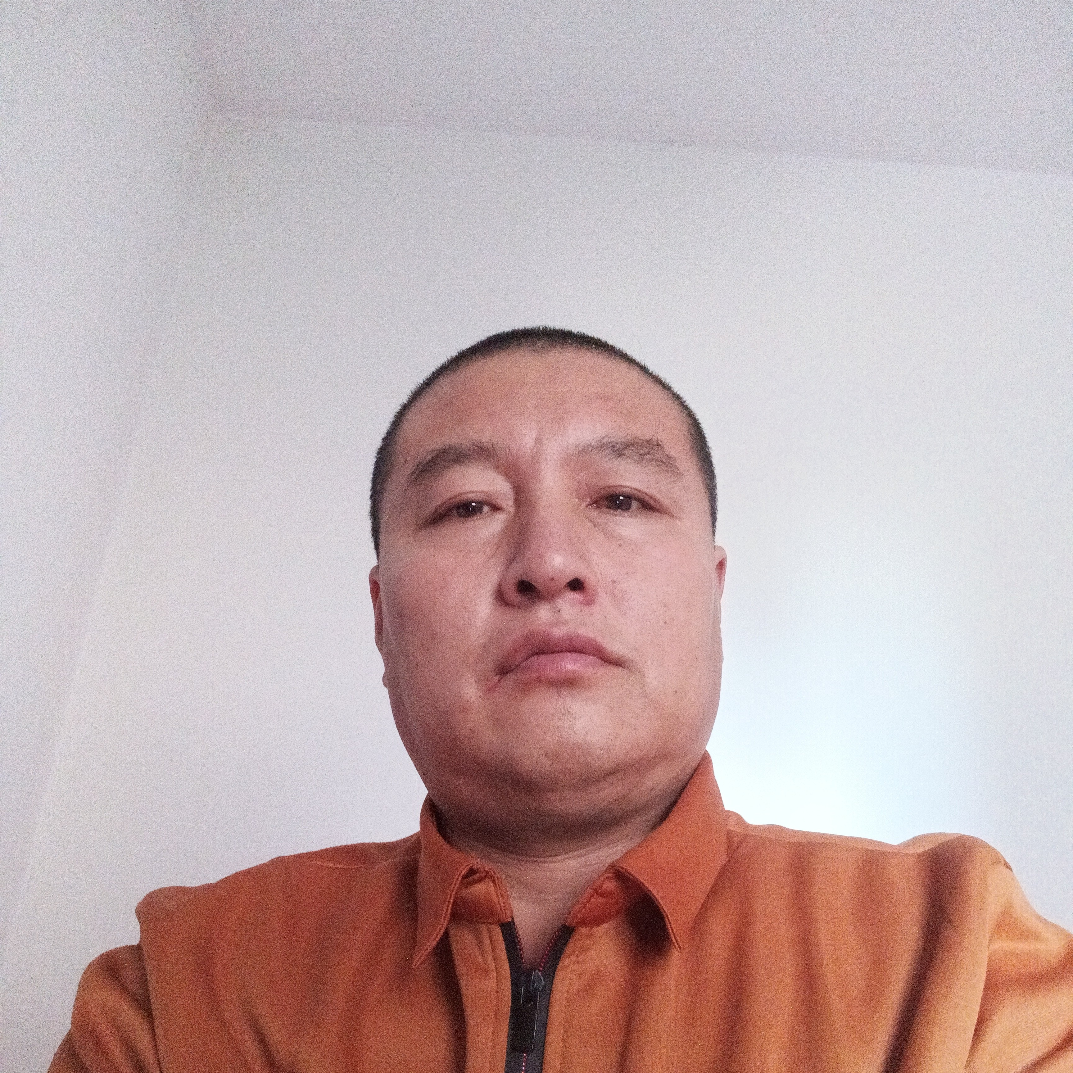 龙猫爱威武的照片