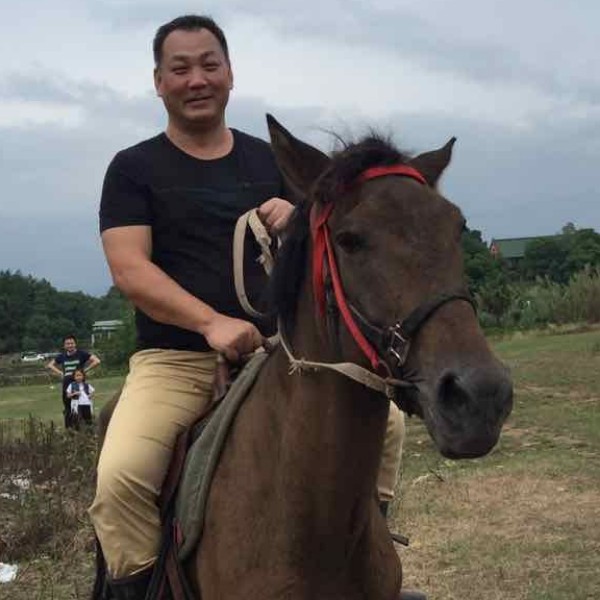 大海中的鹰的照片