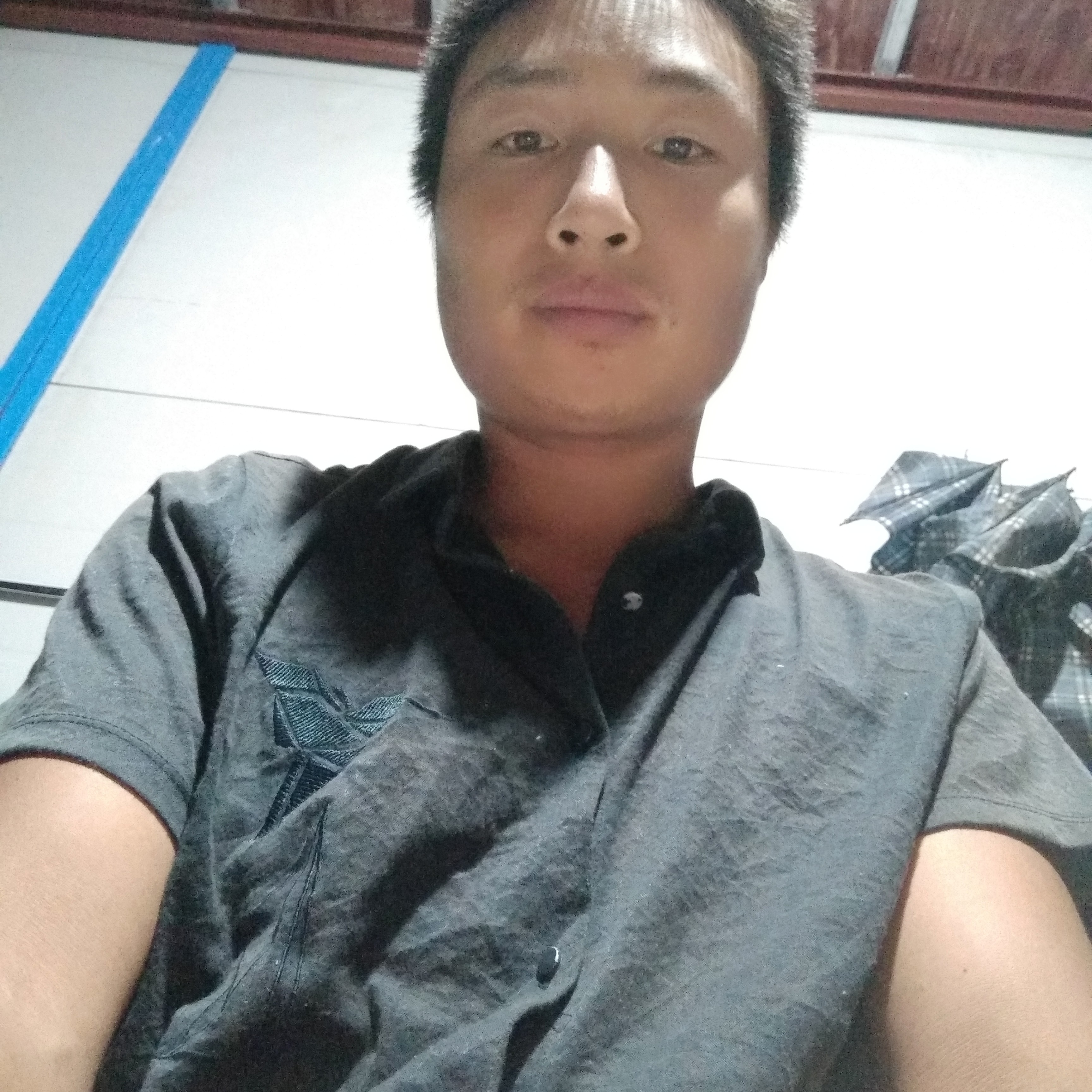 小白菜迅速209的照片