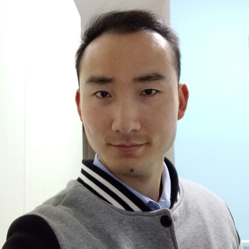 阳光下的枫树林的照片