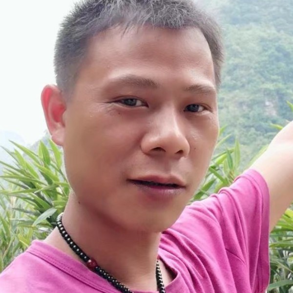 网络与落寞的照片