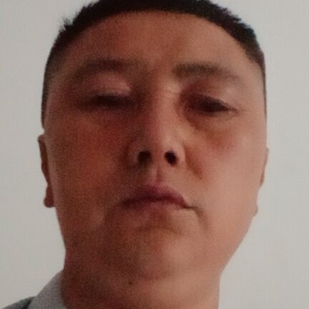 缓慢演变鱼的照片