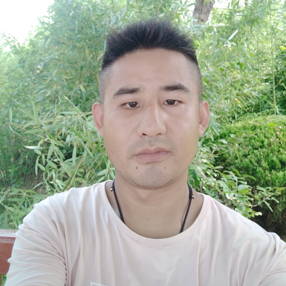 守候永恒的a i的照片