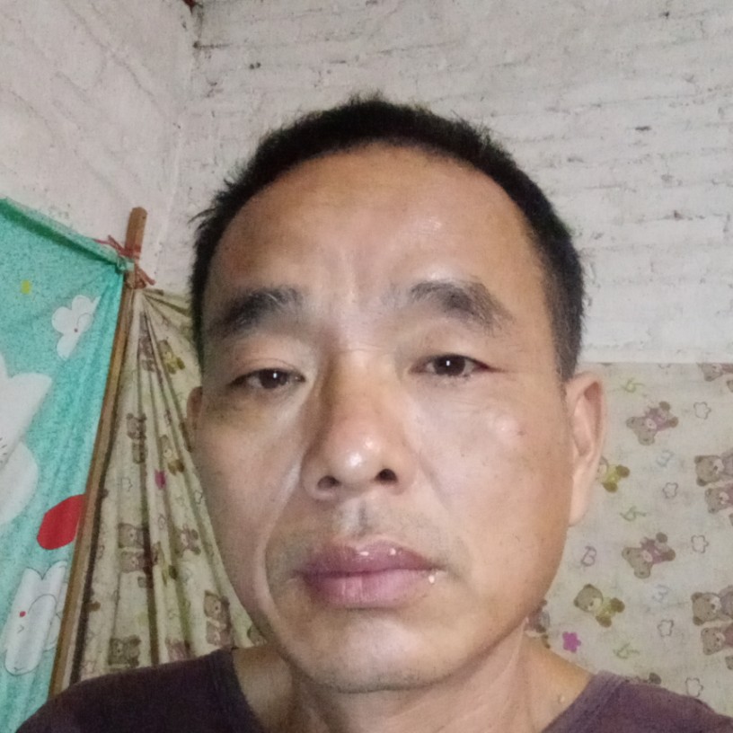 香蕉的春天的照片