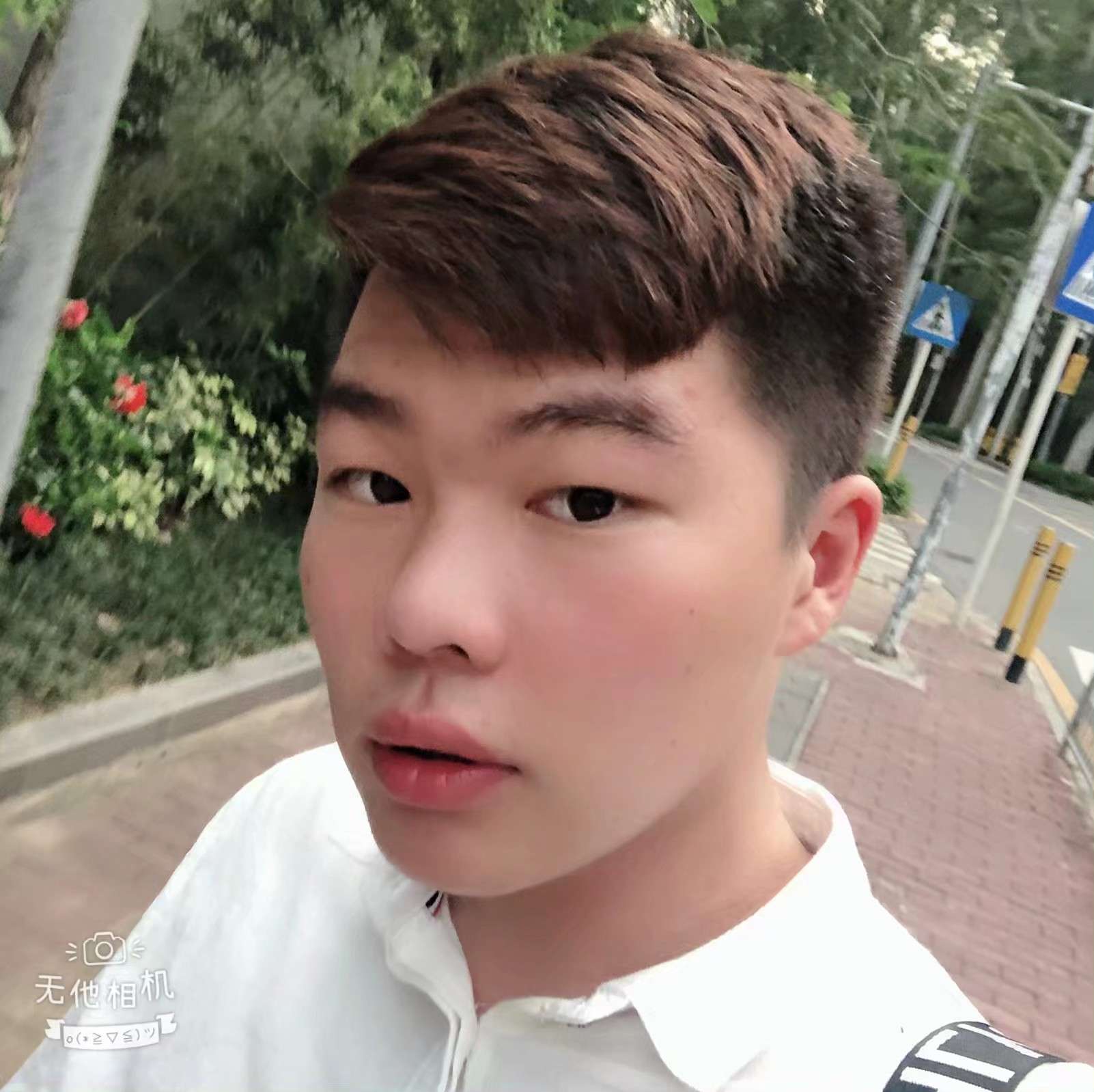 谦让扯蝶舞的照片
